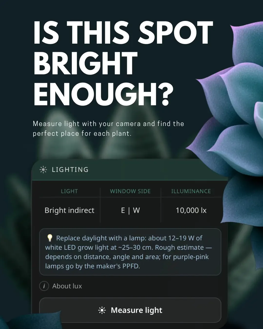 brunq — screenshot 3