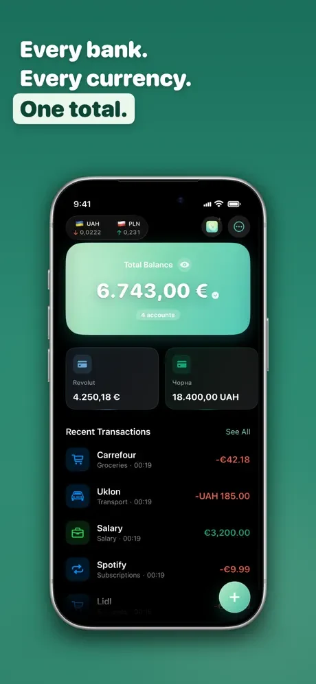 EveryPenny — знімок екрана 1