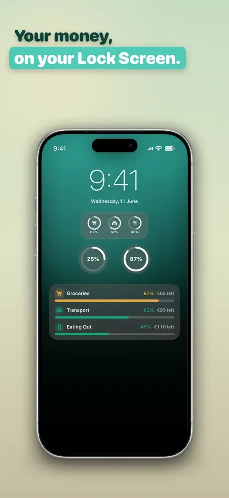 EveryPenny — знімок екрана 5